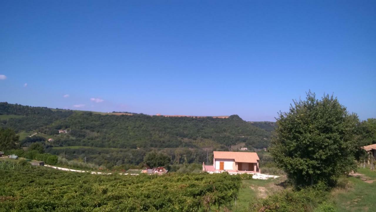 Agriturismo La Vite E L'Ulivo Baschi Εξωτερικό φωτογραφία