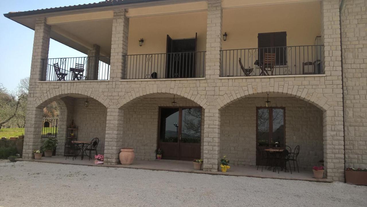 Agriturismo La Vite E L'Ulivo Baschi Εξωτερικό φωτογραφία