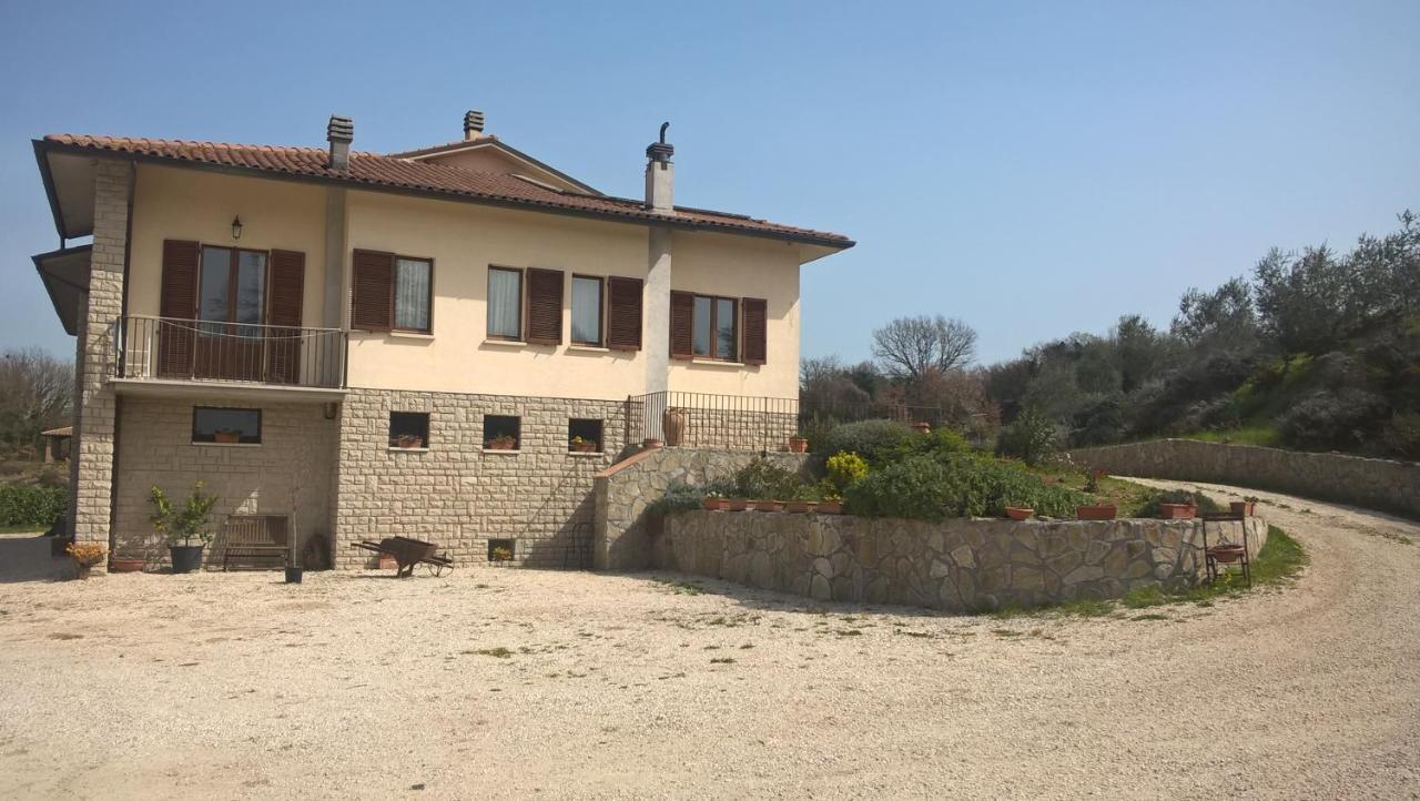 Agriturismo La Vite E L'Ulivo Baschi Εξωτερικό φωτογραφία